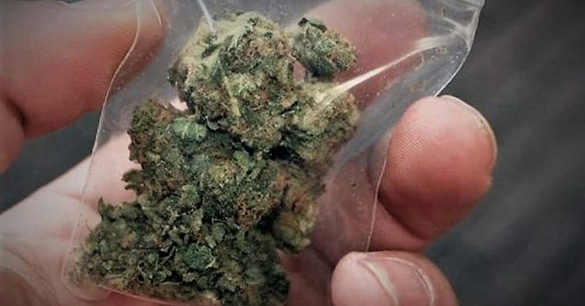 Σύλληψη ημεδαπού στην ευρύτερη περιοχή των Νέων Κυδωνιών με μικροποσότητα κάνναβης