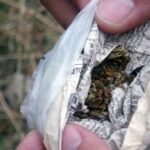 27χρονος ημεδαπός με 1,6γρ κάνναβης συνελήφθη στη Μυτιλήνη