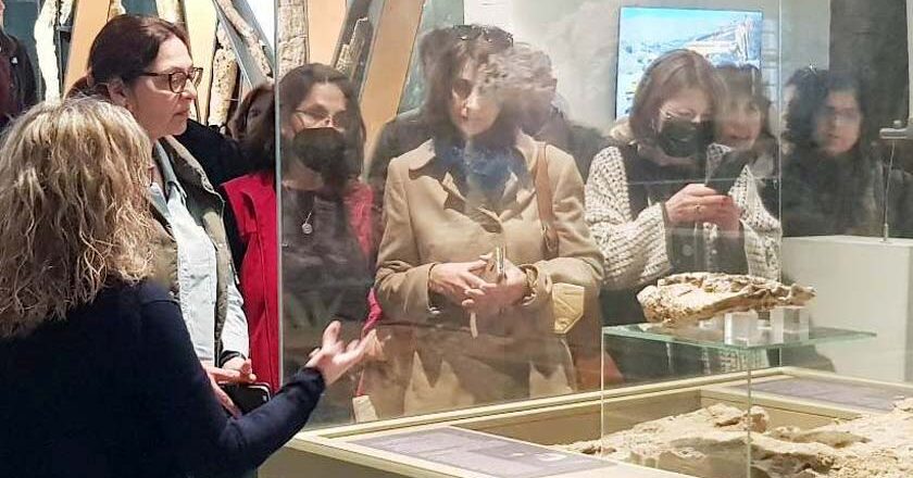 Γνωριμία εκπαιδευτικών με το Μουσείο Φυσικής Ιστορίας Απολιθωμένου Δάσους & το Γεωπάρκο Λέσβου