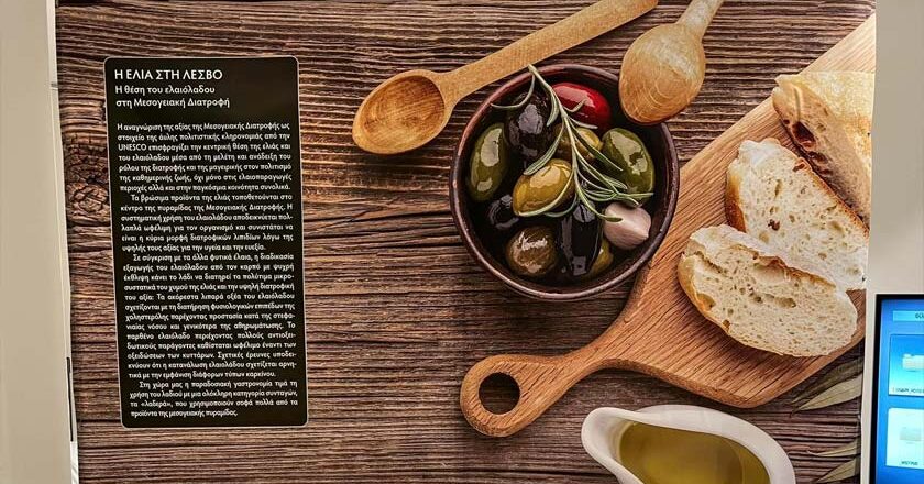 Ολοκληρώνεται η έκθεση «Η ΕΛΙΑ ΣΤΗ ΛΕΣΒΟ» στο Ίδρυμα Ευγενίδου στην Αθήνα