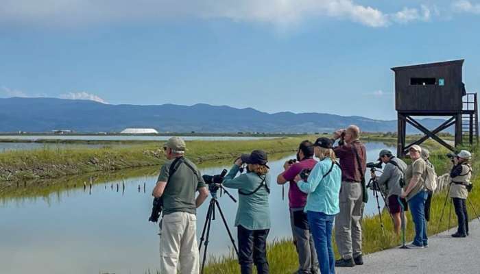 Η Λέσβος κορυφαίος προορισμός παρατήρησης πουλιών