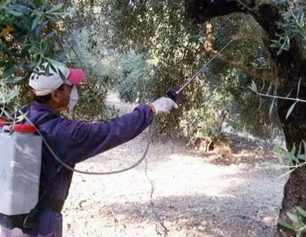 Σε ποιές περιοχές της Λέσβου ξεκινάει αύριο (16/09) ο 4ο ψεκασμός δακοκτονίας