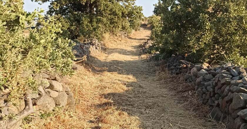 Οι Σύλλογοι «Πρωτοβουλία Ερεσού – Θεόφραστος» καταγγέλουν ιδιωτικό δρόμο σε περιοχή στην Ερεσό