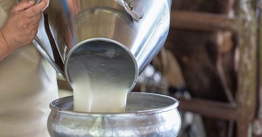Η Ομοσπονδία Αγροτικών Συλλόγων Λέσβου για την πώληση του βιολογικού γάλακτος στην τιμή του συμβατικού