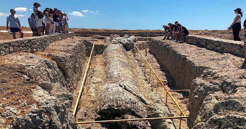 Το Μουσείο Φυσικής Ιστορίας Απολιθωμένου Δάσους στην Παγκόσμια Έκθεση Παρατήρησης Πουλιών