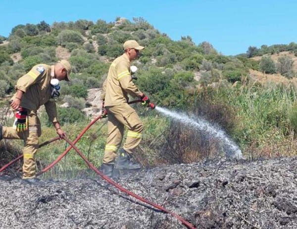 Εμπρησμό εξετάζει η Π.Υ. Μυτιλήνης για τη φωτιά στον Άγιο Φωκά