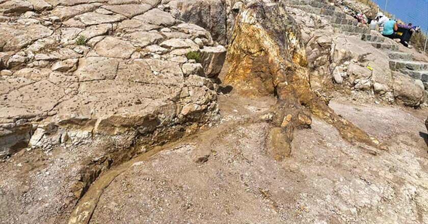 Περιήγηση και επιστημονική ενημέρωση στο Νέο Πάρκο Απολιθωμάτων στην περιοχή Ακροχειρας