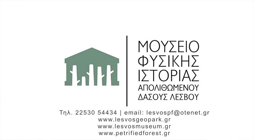 Εκπαιδευτικά προγράμματα για την αντιμετώπιση κινδύνου Σεισμού & Τσουνάμι στο Μουσείο Φυσικής Ιστορίας Απολιθομένου Δάσους