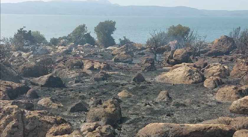 Λέσβος: Φωτιά στην περιοχή των Παρακοίλων