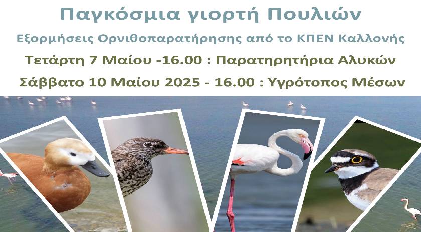Παγκόσμια γιορτή Πουλιών – Εξορμήσεις Ορνιθοπαρατήρησης από το ΚΠΕΝ Καλλονής