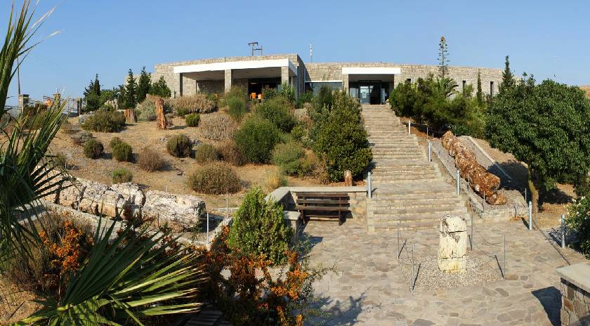 Γιορτάζουμε τη Διεθνή Ημέρα Μουσείων στο Μουσείο Φυσικής Ιστορίας Απολιθωμένου Δάσους Λέσβου