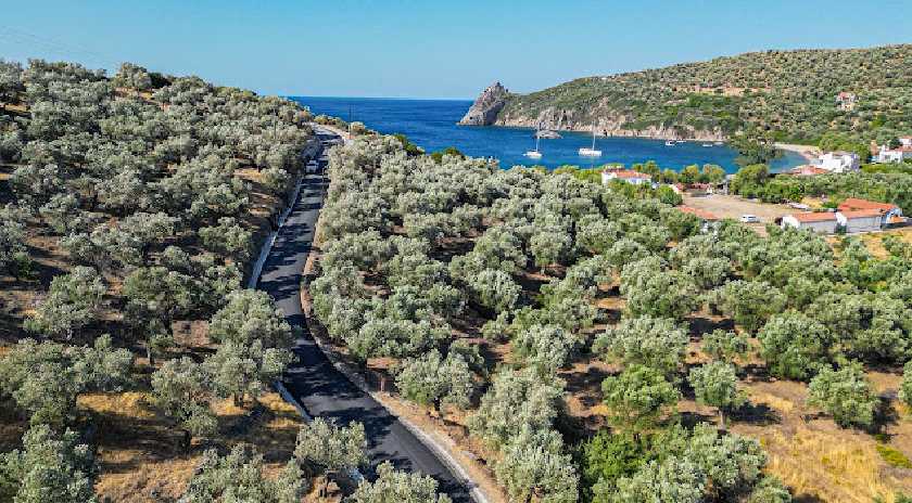 Ο Δήμαρχος Μυτιλήνης σε έργα οδοποιίας στην περιοχή Τάρτι