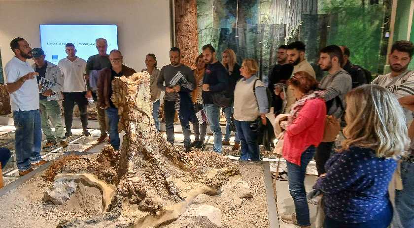 Επίσκεψη στο Απολιθωμένο Δάσος Λέσβου και το Γεωπάρκο Λέσβου των συμμετασχόντων του 20ου Πανελλήνιου Εντομολογικού Συνεδρίου