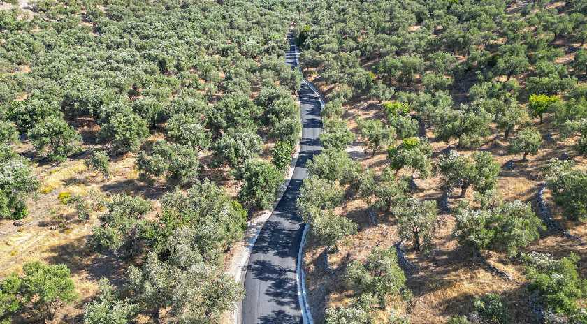 Ολοκληρώθηκαν τα έργα ασφαλτόστρωσης και τσιμεντόστρωσης στην περιοχή του Τάρτι από τον Δήμο Μυτιλήνης