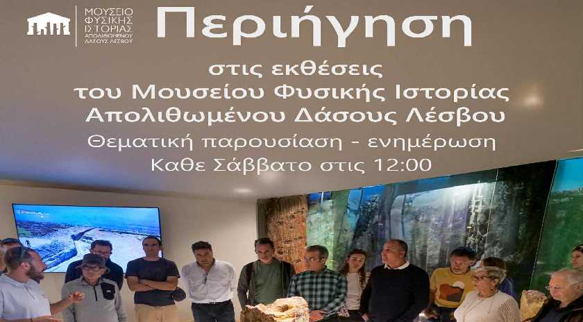 Περιήγηση και ενημέρωση στους εκθεσιακούς χώρους του Μουσείου Φυσικής Ιστορίας Απολιθωμένου Δάσους Λέσβου