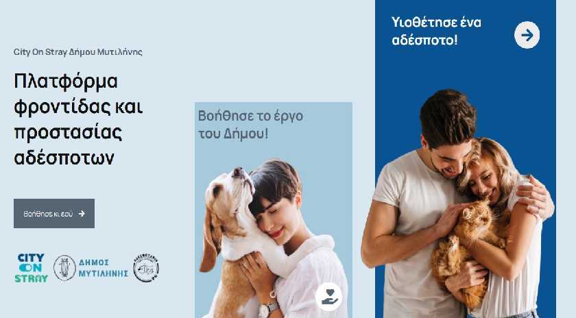 Ξεκινά τη λειτουργία της η ψηφιακή πλατφόρμα του Δήμου Μυτιλήνης για τα ζώα συντροφιάς