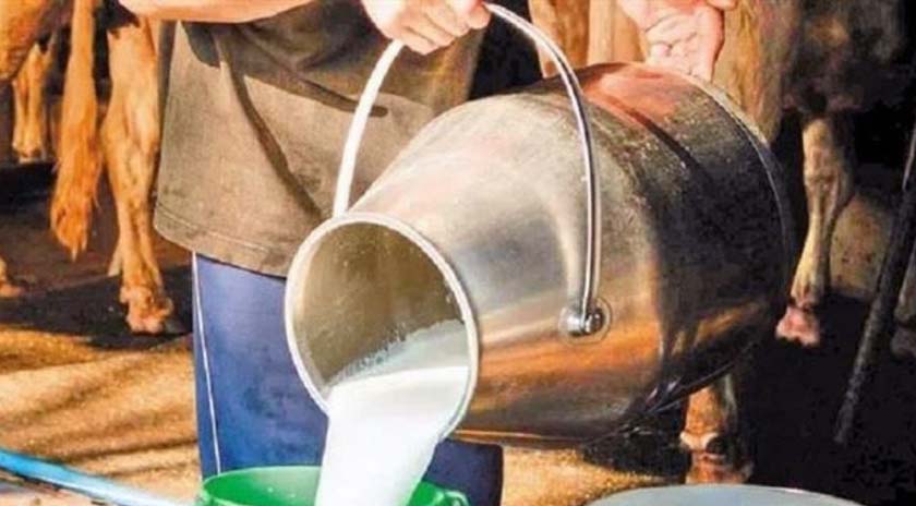 Πλήρη αποζημίωση των κτηνοτρόφων για το γάλα που θα παραλαμβάνουν καθημερινά τα τυροκομεία της Λέσβου