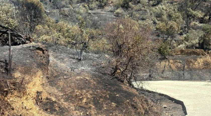 Ξεκινούν οι αιτήσεις αποζημίωσης για τους πληγέντες από τη φωτιά στο Πλωμάρι
