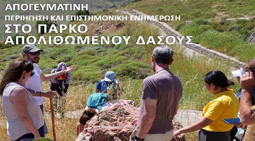 Απογευματινή περιήγηση στο Πάρκο Απολιθωμένου Δάσους στη Θέση Μπαλή Αλώνια