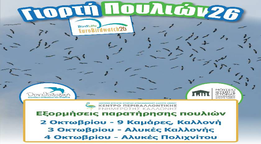 Γιορτάζουμε την φθινοπωρινή μετανάστευση στους υγροτόπους της Λέσβου