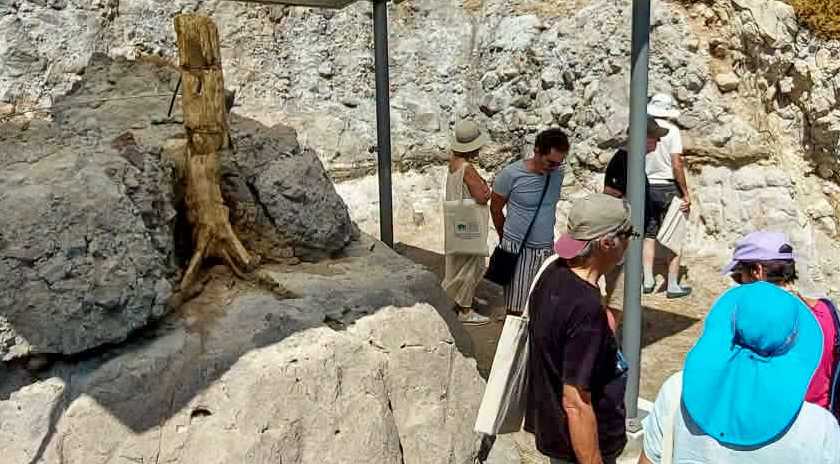 Περιήγηση στο Νέο «Ανοικτό Μουσείο» Απολιθωμένου Δάσους