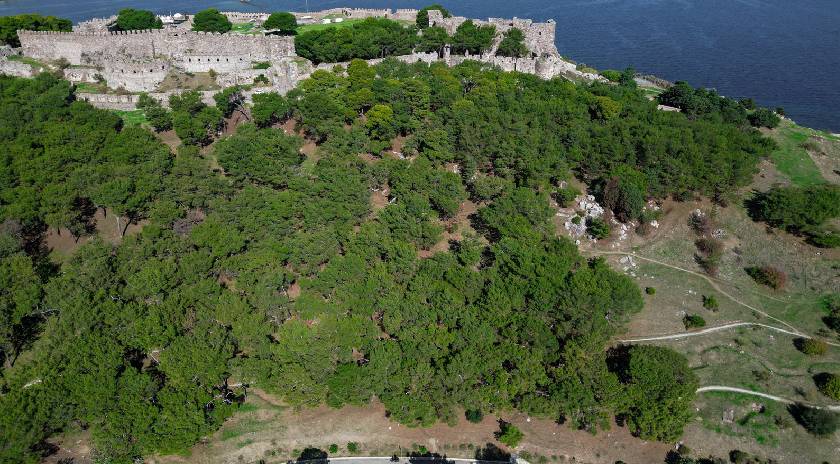 Αναπλαση άλσους Τσακάμια 