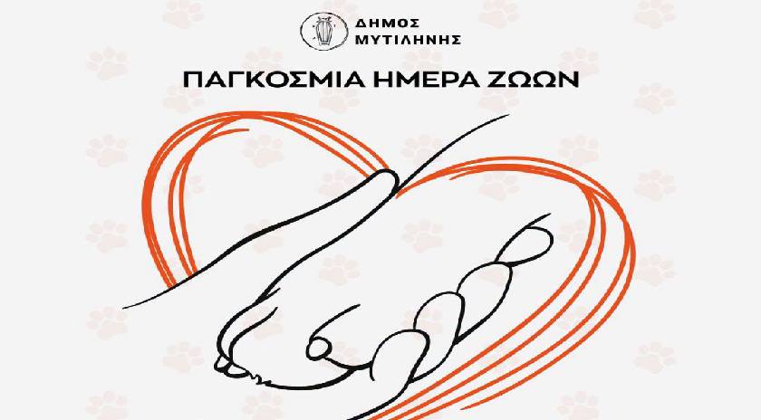 Η Μυτιλήνη ανοίγει την αγκαλιά της στα αδέσποτα